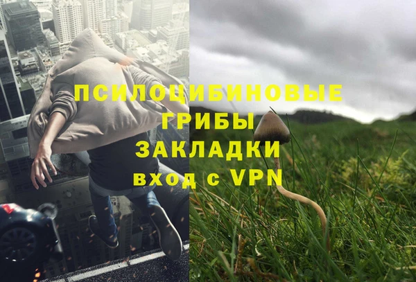каннабис Арсеньев
