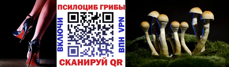 Псилоцибиновые грибы Psilocybe  Боровск 